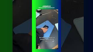 Ben Aldıysam Kankam Alır