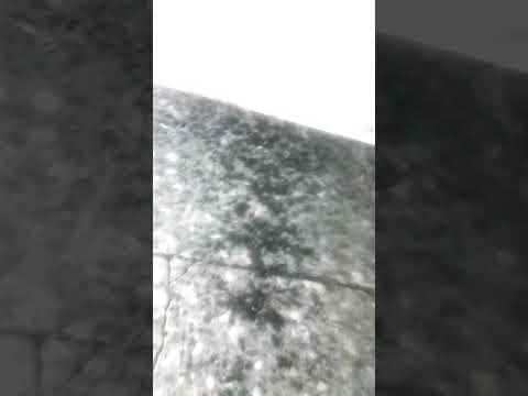 هجولة لعيون حبيبي ملييي