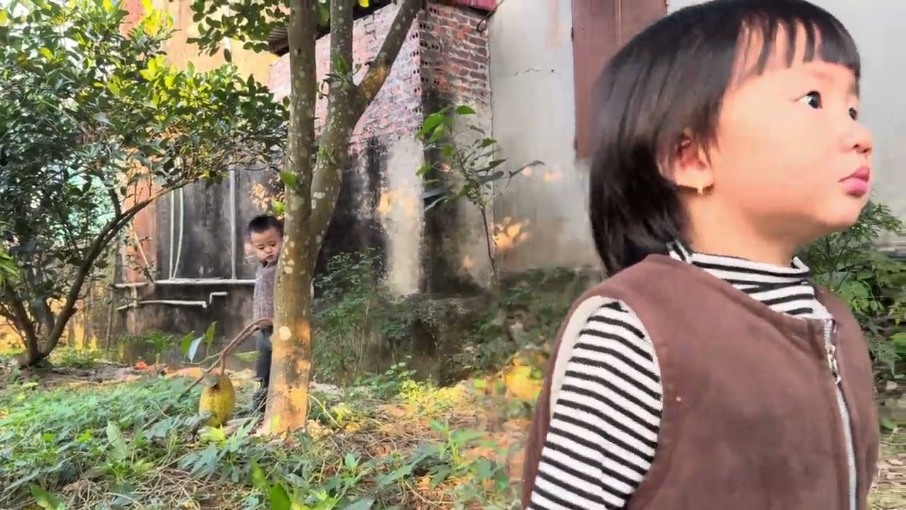 Chin lên thăm cụ 01.01.2026