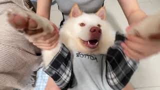 A Sisters Touch Dancing For Her Babies Joy