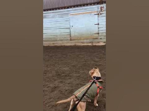 Кетрой - YouTube