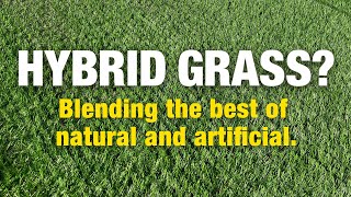 2 Minute Turf Talk - Hybrid Grass? Blending the best of natural and artificial.