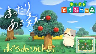 【朝活】お店が立つかも！まぐろdeソルト島🌊🌴【あつまれ！どうぶつの森/むぅたま VTuber】