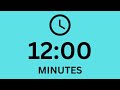 12 Minute Timer