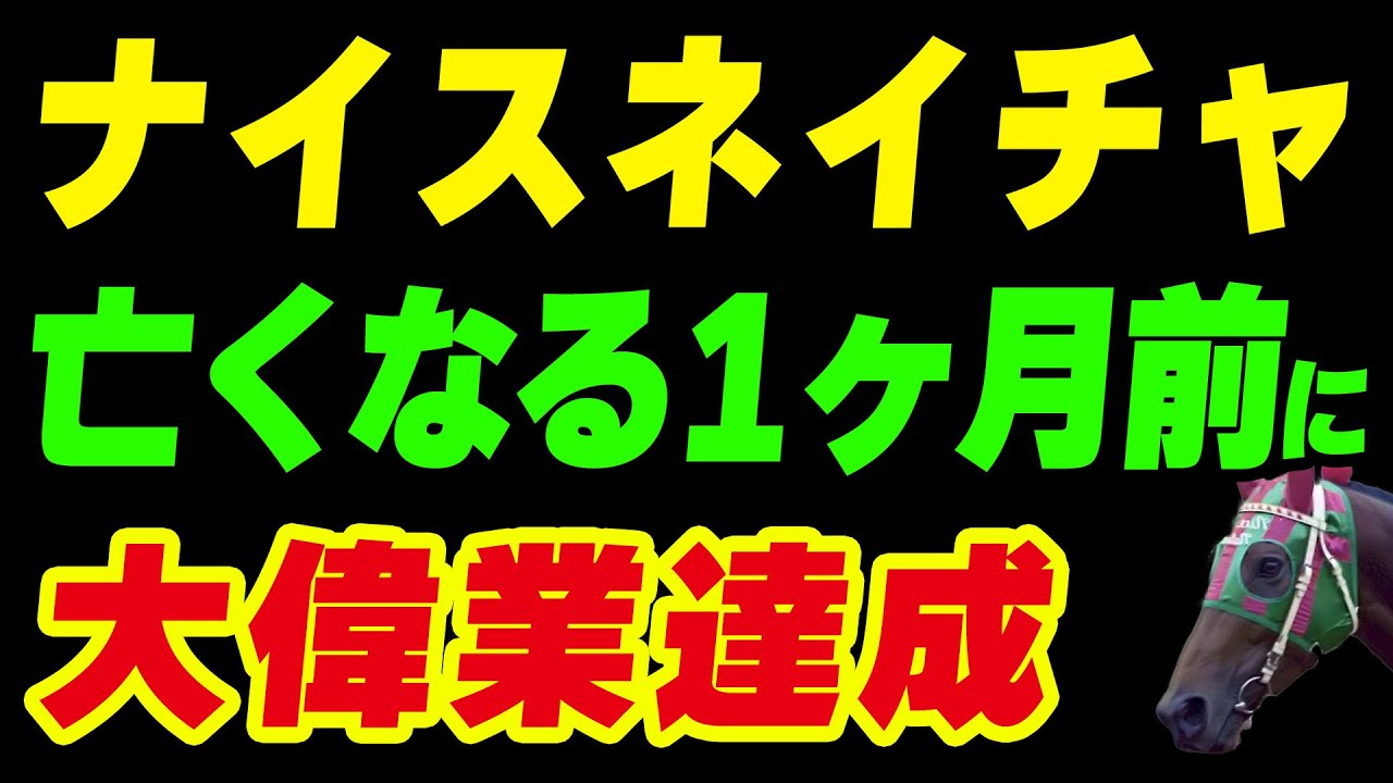 【お値下】現地購入馬券ナイスネイチャ96年11月16日東京 第34回AR杯引退R ナイスネイチャ・34歳のバースデードネーション