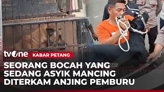 Download lagu TRAGIS! Bocah Tewas Diterkam 4 Anjing Pemburu | Kabar Petang