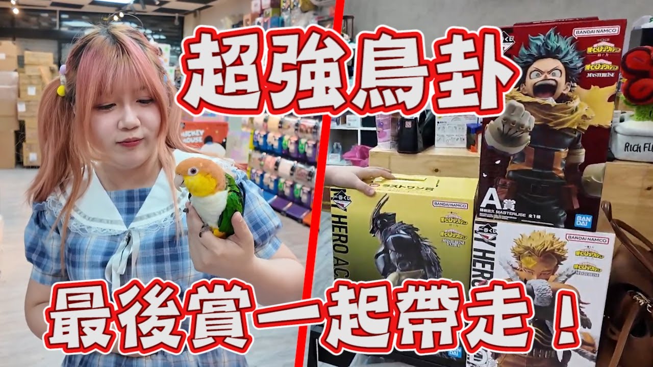 鳥卦有這麼神？幫我把我英連最後賞一起都帶走！《睡豬玩具＆開箱企劃(レビューunboxing》