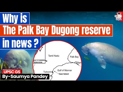 भारत का पहला Dugong Conservation Reserve | Next IAS HINDI