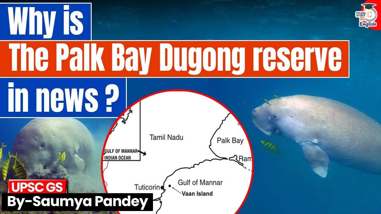 Why Is The World Watching India’s Palk Bay Dugong Reserve? | StudyIQ IAS English
