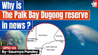 Why Is The World Watching India’s Palk Bay Dugong Reserve? | StudyIQ IAS English