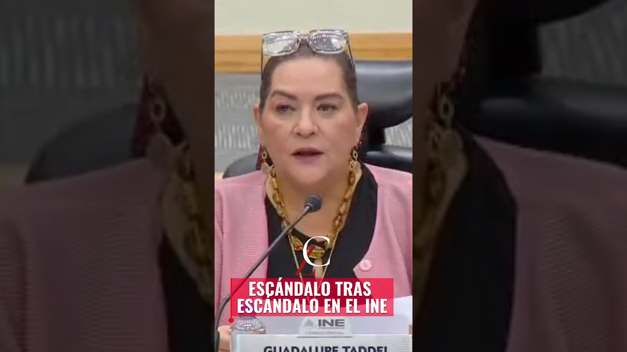¿Cuándo renuncia Guadalupe Taddei?