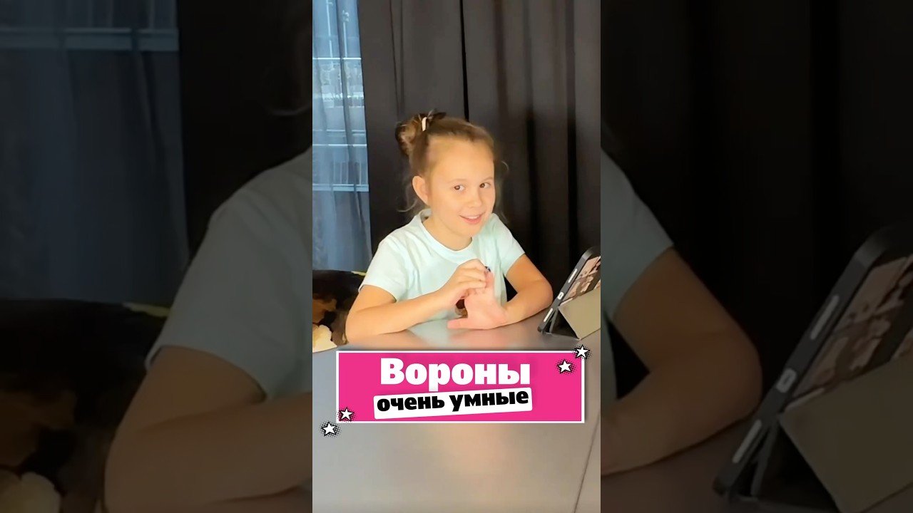 🐦&zwj;⬛Правда ли, что вороны очень умные? #мелиссонпатиссон #блогер #шортс #интересныефакты #животные