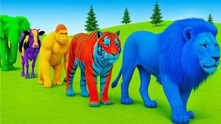 Funniest 3D Animal Slide Game Ever 🦛😂 Watch Till The End! screenshot 2