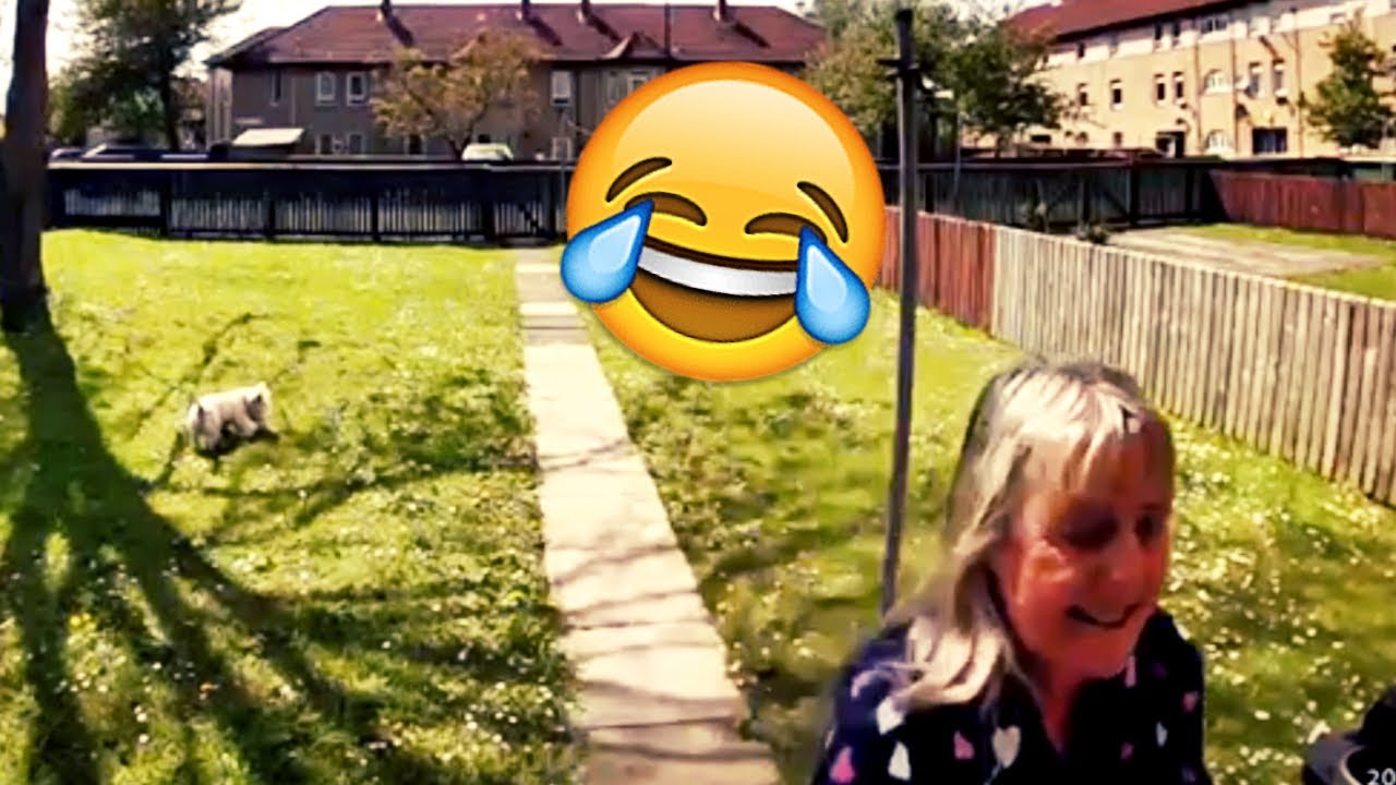 Absolutely HILARIOUS Showdown With A Dog & Rat!