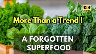 Kale: More Than a Trend — A Forgotten Vegetable Turned True Superfood with Lasting Benefits