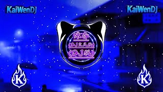 咏春 - (DJ空灵鼓) Vịnh Xuân (DJ抖音版2026) (TikTokRemix) (DouyinTrend)