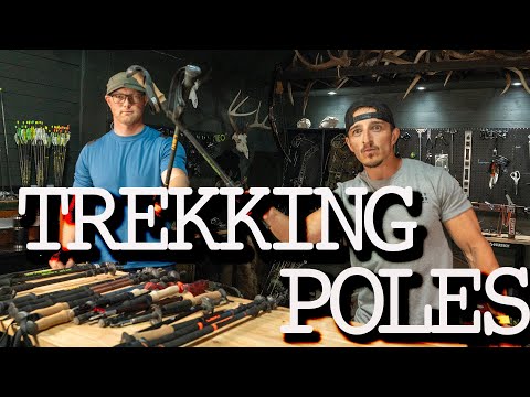 Best trekking poles