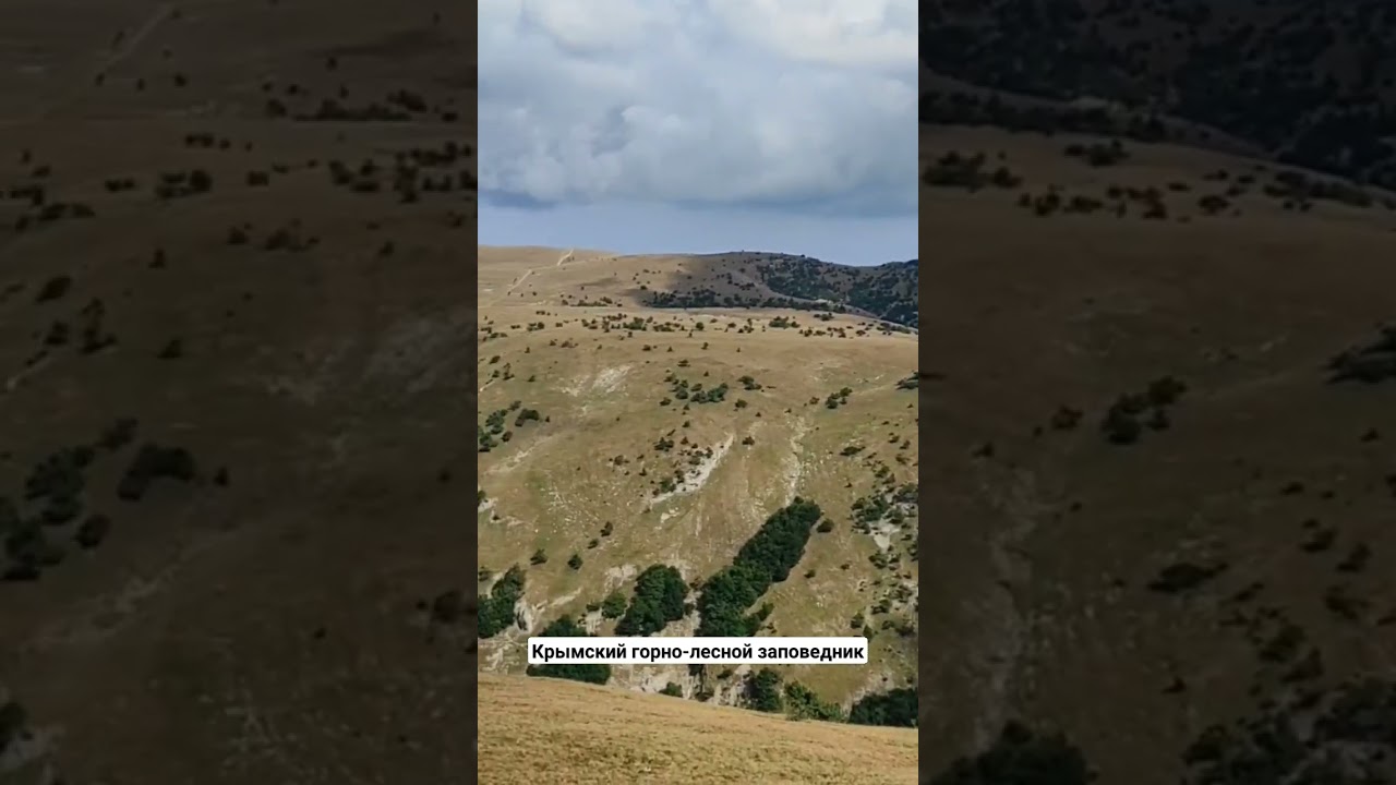 крымский заповедник. заповедная местность. горный Крым. вид на горы.