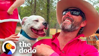 Download Lagu Aggressive Dog Just Wanted Someone To Be Proud Of Him | The Dodo MP3