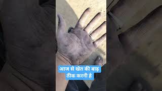 आज से खेत पर बाढ़ का काम शुरू #खेतीकिसानी #organicfarming #villagelife #desikhana #newlife