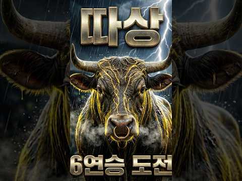 천둥 번개 뚫고 뿔치기 작렬! 따상 6연승 결과는? #청도불스 #소싸움   #청도소싸움 #bullfight #ChoiTrau #วัวชน #AduKerbau #Jallikattu