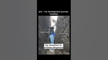 My situation in web development #developerlife #viralshort #coderslife