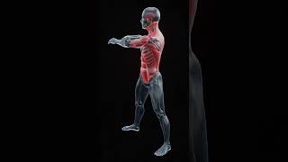 Relieve spinal pressure and reduce neck stiffness with this easy standing twist!