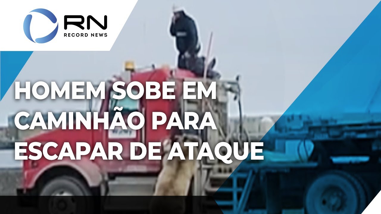 Homem sobe em caminhão para escapar de ataque