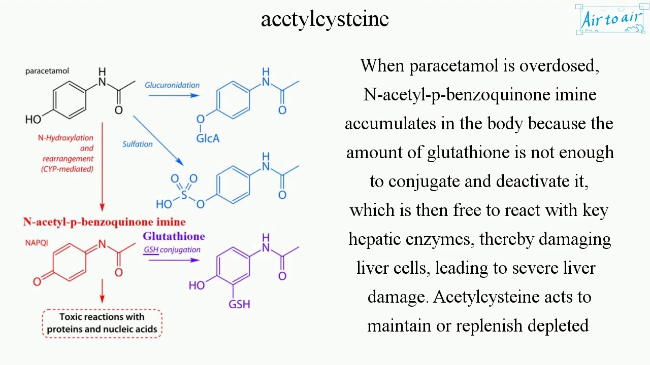 benefits of taking liposomal glutathione Scientists Decode Seedless Grapes Genetic Basis | India DST posted on the  topic main image 1