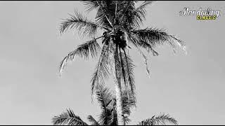 Ulang Paincat Roha - Hikma Group