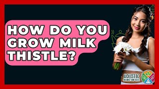 How Do You Grow Milk Thistle? - Holistic Balance And Bliss