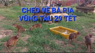 29 Tết cheo cheo về Bà Rịa Vũng Tàu 0947411522