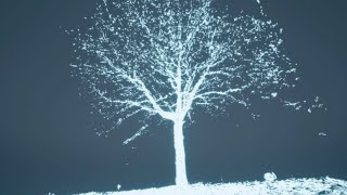 Research Takeover: Data Nature | Watershed