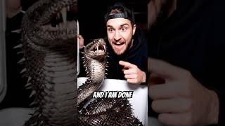 SPIKES! A snake found in your nightmares. Would you keep it as a pet? #animals #snake #outdoors