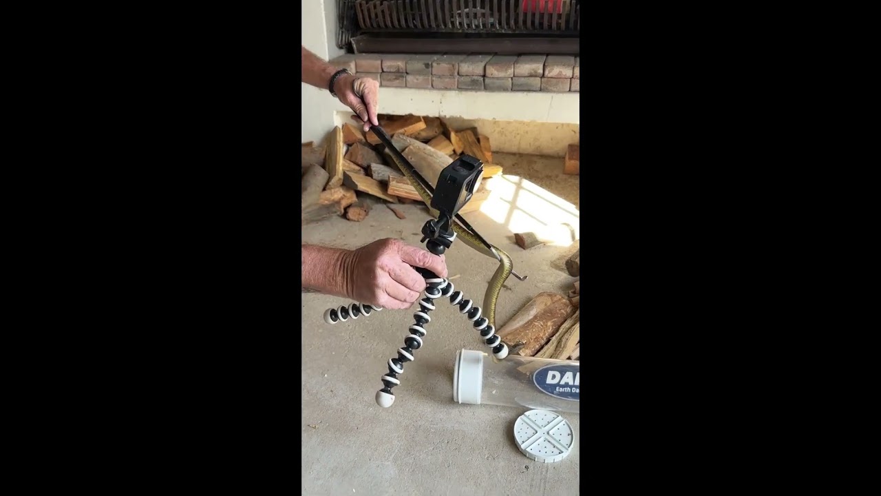 Snake under BBQ braai 