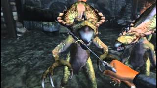 Oblivion Cut Content: E3 Kvatch