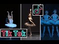 Swan lake | TikTok Compilation