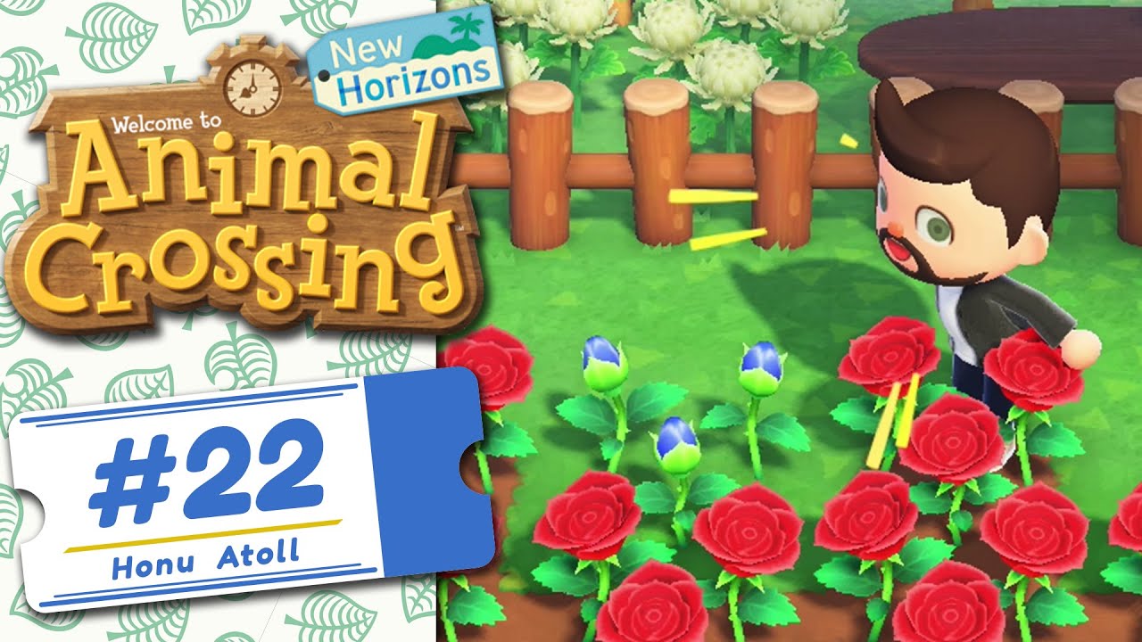 My First Blue Rose! Ep. 022 ACNH YouTube