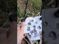 338WM vs steel plate #mediumbore #winchester #nosler #bullets #model70 #magnum #rifle #kinetic