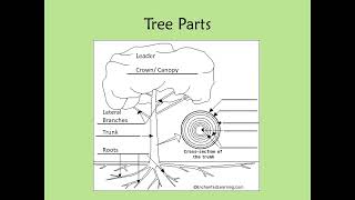 Unit 1 How Trees Grow; Unit 2 Tree Roots & Shoots