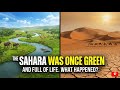 The Sahara Was Once Green And Full of Life. What Happened