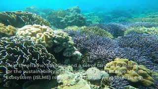 Setting national priorities for the Indonesian Seas Large Marine Ecosystem sustainability