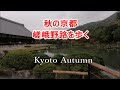 【秋の京都・嵯峨野路を歩く・Explore Japan】Walking Around Sagano(Kyoto, Japan) Japanese Solo Female Traveler