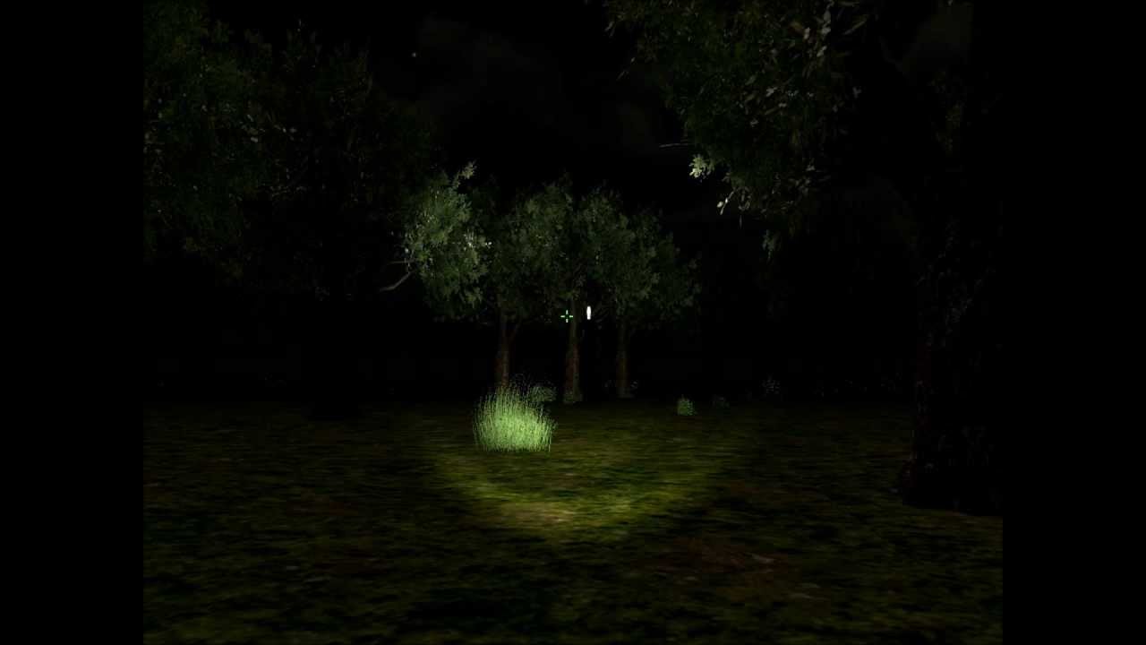 Обзор игры - Slender Dark Forest (2013)