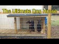 The Ultimate Dog House