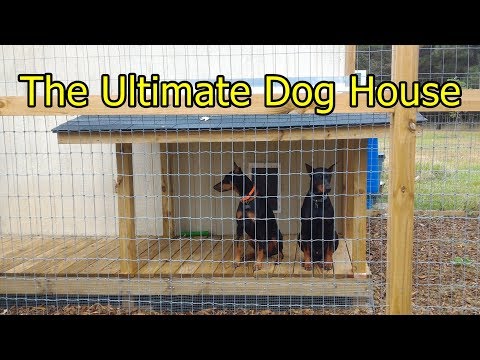 the-ultimate-dog-house