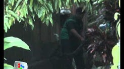 50 wild animals belonging to convicted wildlife smuggler seized