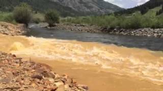 Animas river contamination