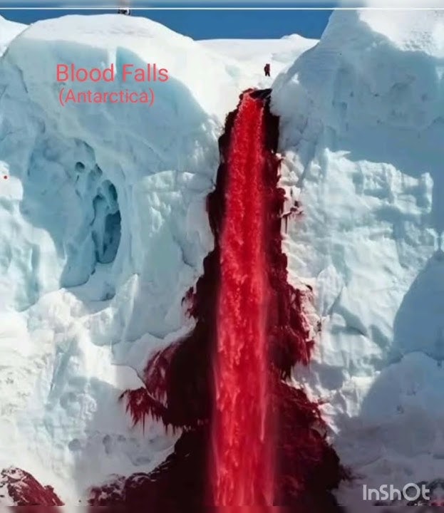Top 10 most beautiful and rarest phenomena in the world#phenomena