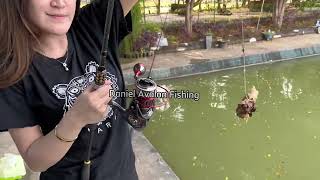 Cewek Cantik Mancing Ikan Monster di Big Fish Strike Saung Desa